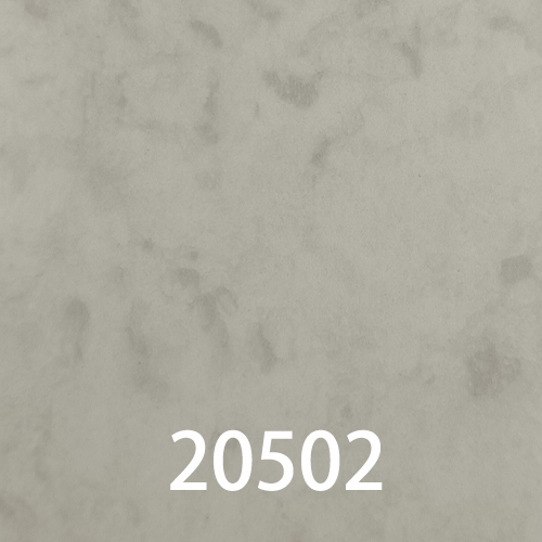 20502的封面